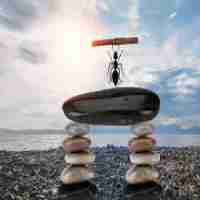 定‌制‌内‍容‌缓﻿存​工‌具​